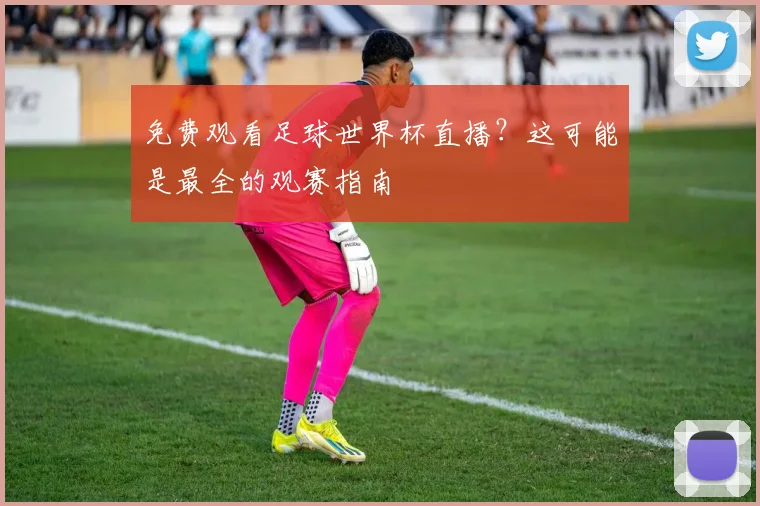 免费观看足球世界杯直播？这可能是最全的观赛指南